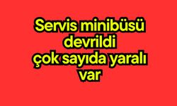 Servis minibüsü devrildi, çok sayıda yaralı var (Video)
