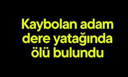 Kaybolan adam dere yatağında ölü bulundu