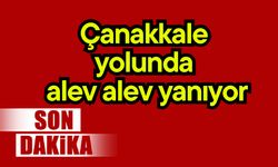 Çanakkale yolunda alev alev yanıyor (Video)