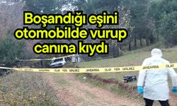 Boşandığı eşini otomobilde vurup canına kıydı