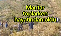 Mantar toplarken hayatından oldu