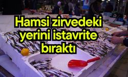 Hamsi zirvedeki yerini istavrite bıraktı (Video)