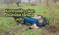 Kontrolden çıkan otomobil tarlaya uçtu