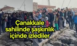 Çanakkale sahilinde şaşkınlık içinde izlediler