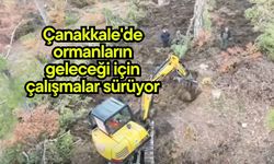 Çanakkale'de ormanların geleceği için çalışmalar sürüyor