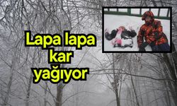 Lapa lapa kar yağıyor (Video)