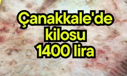 Çanakkale'de kilosu 1400 liraya satılıyor