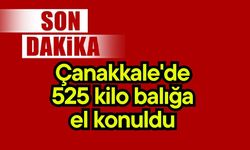 Çanakkale'de 525 kilo balığa el konuldu