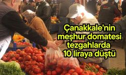 Çanakkale'nin meşhur domatesi tezgahlarda 10 liraya düştü