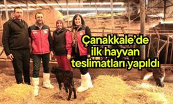 Çanakkale’de ilk hayvan teslimatları yapıldı
