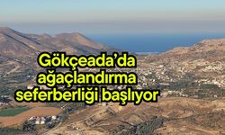 Gökçeada’da ağaçlandırma seferberliği başlıyor