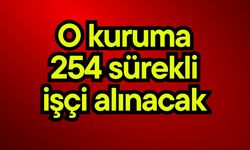 O kuruma 254 sürekli işçi alınacak
