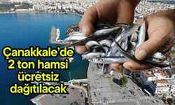 Çanakkale’de 2 ton hamsi ücretsiz dağıtılacak