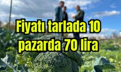 Fiyatı tarlada 10 pazarda 70 lira