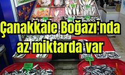 Çanakkale Boğazı'nda az miktarda var (Video)