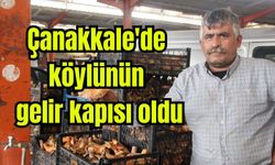 Çanakkale'de köylünün gelir kapısı oldu (Video)