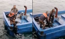 Çanakkale'de denize düşen köpeği balıkçılar kurtardı (Video)