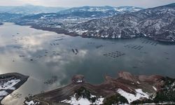 Denizi olmayan yerden somonları dünya sofralarına ulaşıyor (Video)