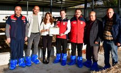 Biga’da kaliteli hayvansal üretim yapan üreticiye Ari İşletme Belgesi