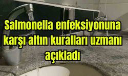 Salmonella enfeksiyonuna karşı altın kuralları uzmanı açıkladı