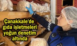 Çanakkale'de gıda işletmeleri yoğun denetim altında