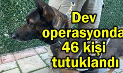 Dev operasyonda 46 kişi tutuklandı