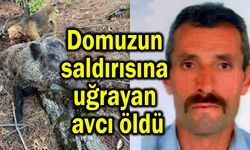 Domuzun saldırısına uğrayan avcı öldü
