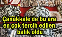 Çanakkale'de en çok tercih edilen balık oldu
