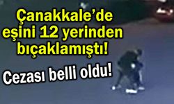 Çanakkale’de eşini 12 yerinden bıçaklamıştı!