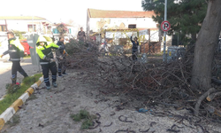 Adada çevre düzenlenmesi yapıldı