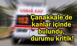 Çanakkale’de kanlar içinde bulundu, durumu kritik