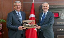 Karabiga'ya 'Güneş Enerji Santrali'  hamlesi