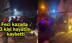 Feci kazada 3 kişi hayatını kaybetti