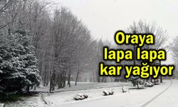 Oraya lapa lapa kar yağıyor (Tıkla izle)