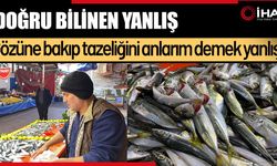 Balıkçılardan Uyarı: Tazelik Gözünden Anlaşılmaz (Video)