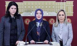 "TBMM’deki taciz iddialarının sonuna kadar takipçisi olacağız"