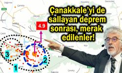Çanakkale’yi de sallayan deprem sonrası merak edilenler!