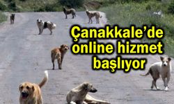 Çanakkale’de online hizmet süreci başlıyor