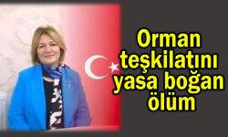 Orman teşkilatını yasa boğan ölüm