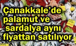 Çanakkale’de palamut ve sardalya aynı fiyattan satılıyor