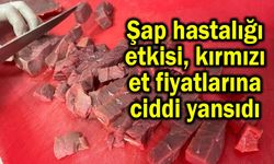 Şap hastalığı etkisi et fiyatlarına yansıdı