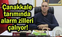 Çanakkale tarımında alarm zilleri çalıyor!