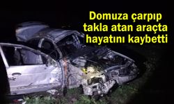 Domuza çarpıp takla atan araçta hayatını kaybetti (Video)