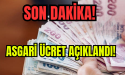 Yeni asgari ücret belli oldu!
