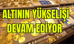 Altının yükselişi devam ediyor