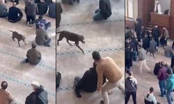 Camiye giren pitbull paniğe neden oldu