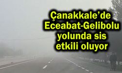 Çanakkale’de Eceabat-Gelibolu yolunda sis etkili oluyor