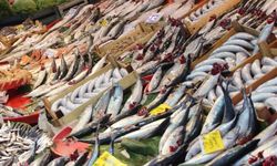 Aralık ayında en fazla pahalanan ürün taze balık oldu
