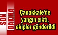 Çanakkale'de yangın, ekipler gönderildi