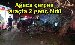 Ağaca çarpan araçta 2 genç öldü (Video)
